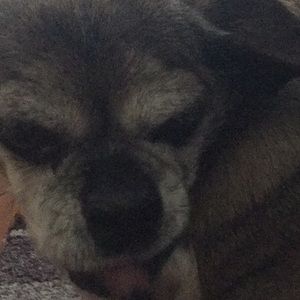 Meet your Posher, Leann